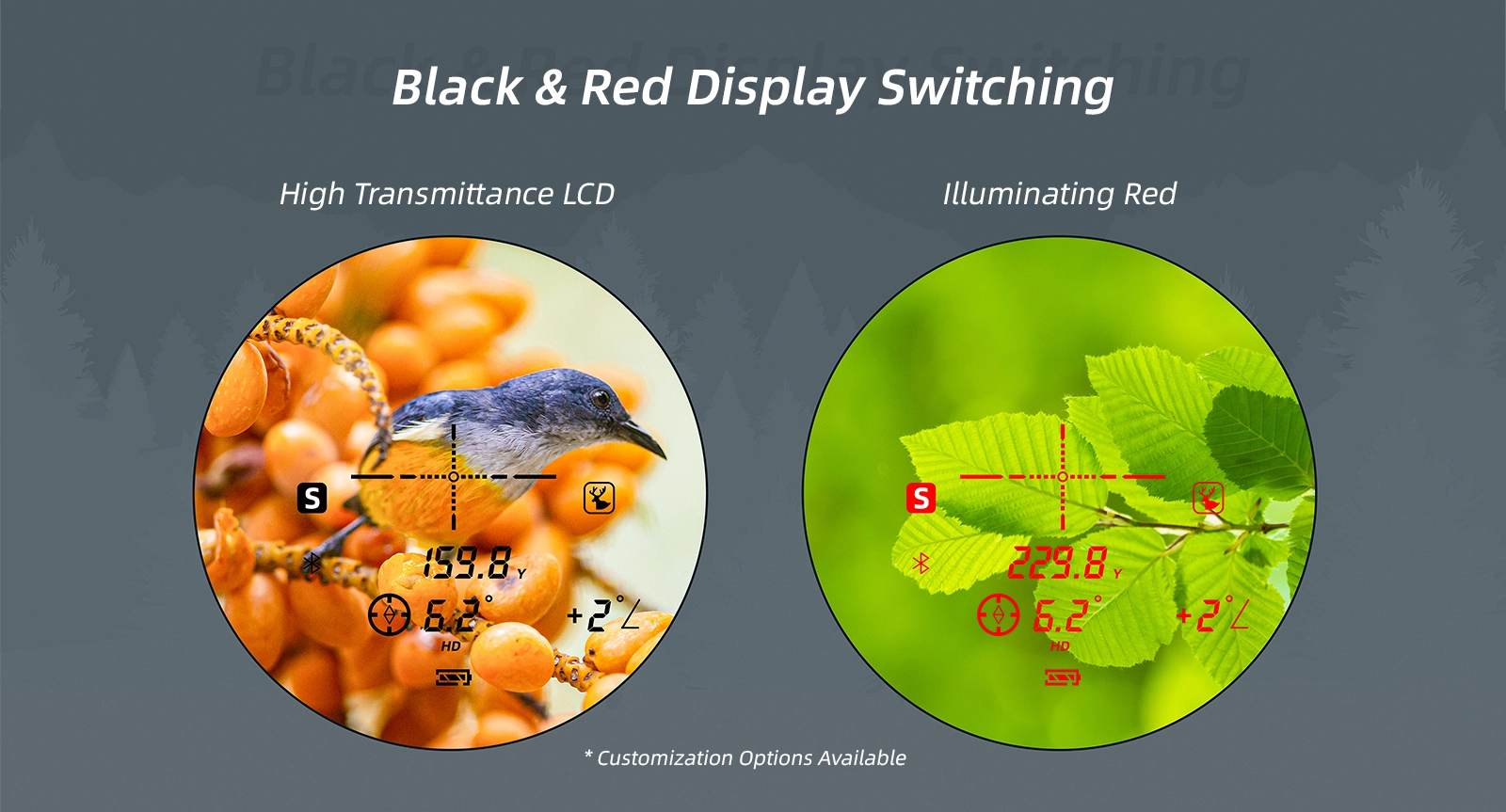 双望详情 英文 04 Pacecat-Photoelectric technology leading enterprises